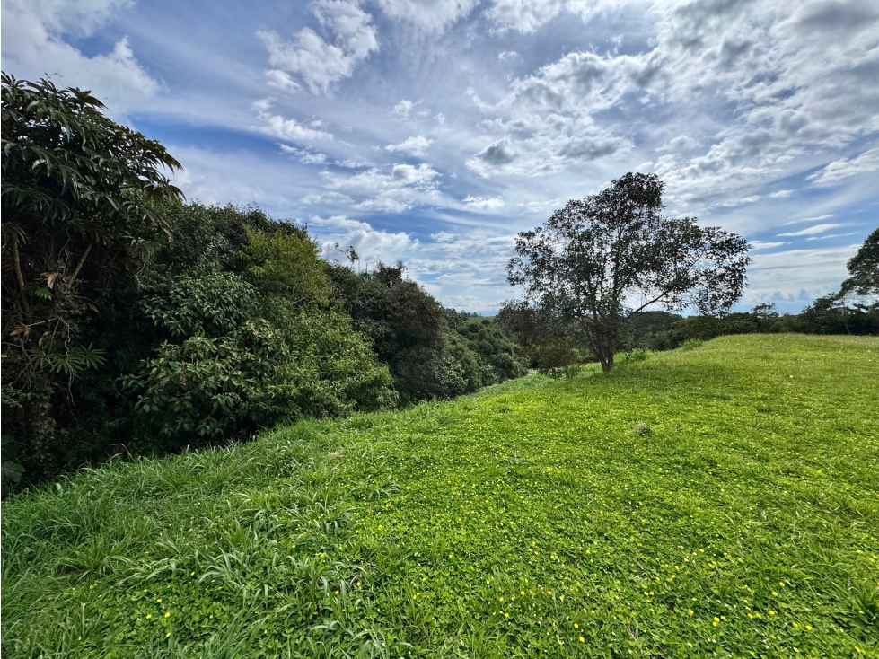 LOTE EN VENTA EN CONDOMINIO CAMPESTRE VÍA FILANDIA, QUINDÍO. - 5