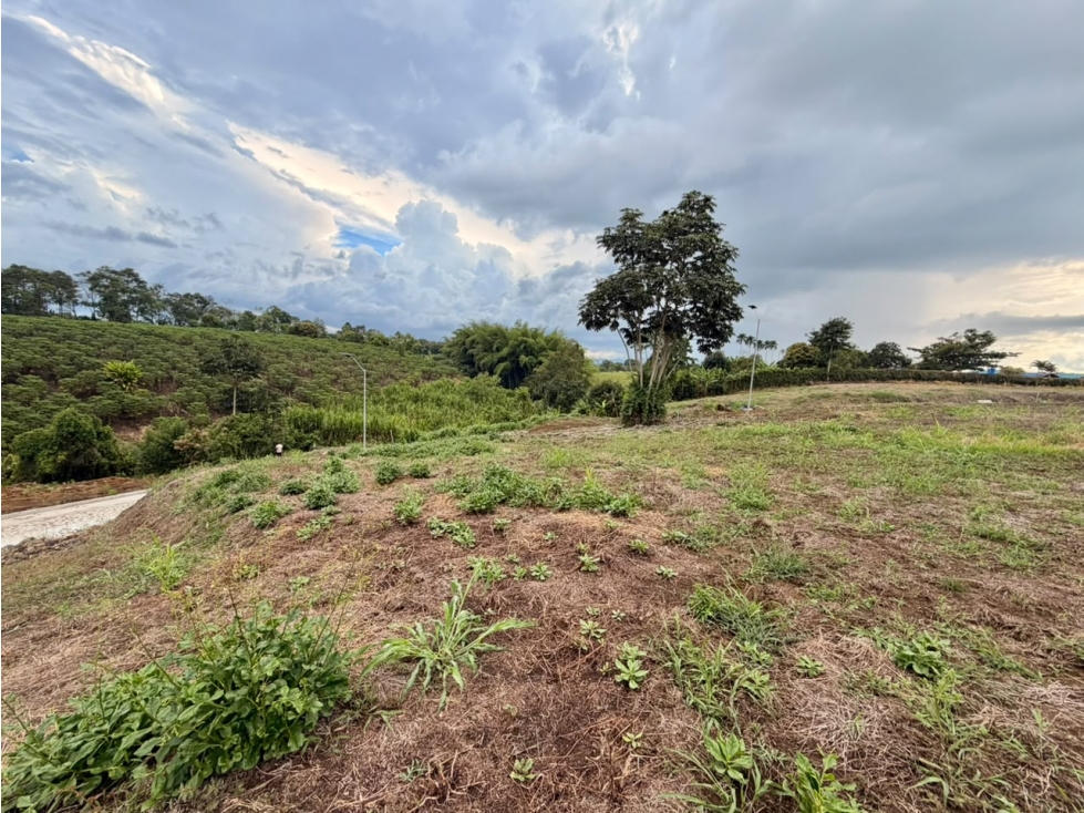 LOTE CAMPESTRE EN VENTA CONDOMINIO CERRADO PUEBLO TAPAO, QUINDÍO — foto 2