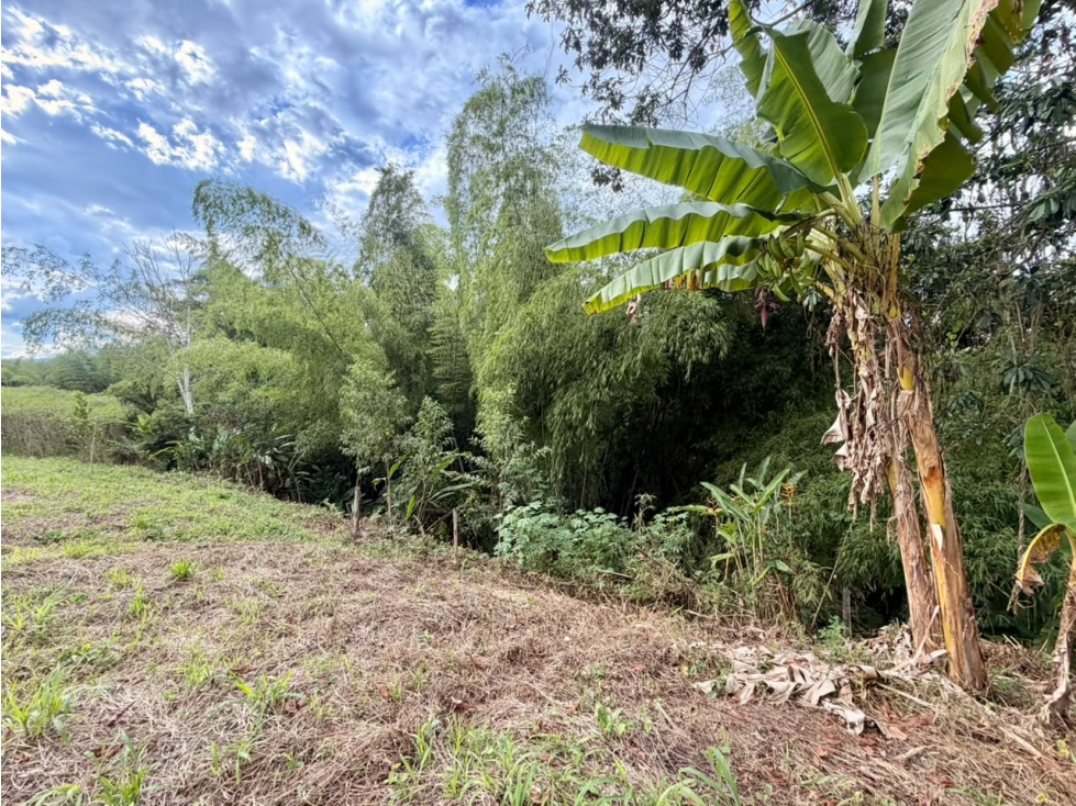 PRECIO DE OPORTUNIDAD LOTE CAMPESTRE 6 EN VENTA PUEBLO TAPAO Q — foto 2