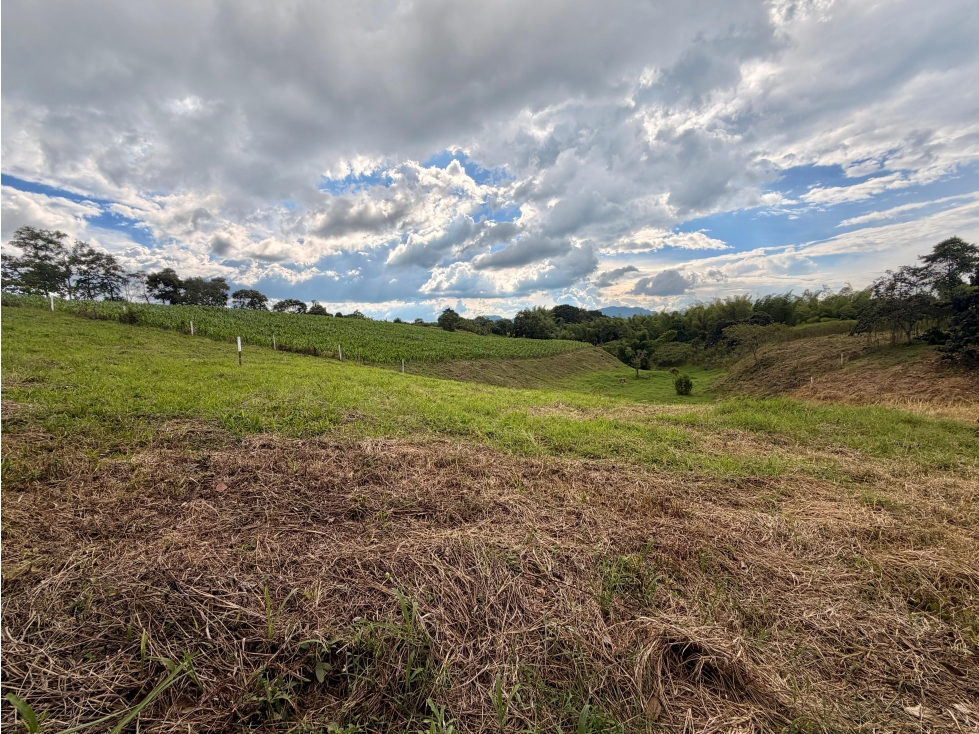 PRECIO DE OPORTUNIDAD LOTE CAMPESTRE 4 EN VENTA PUEBLO TAPAO Q — foto 2