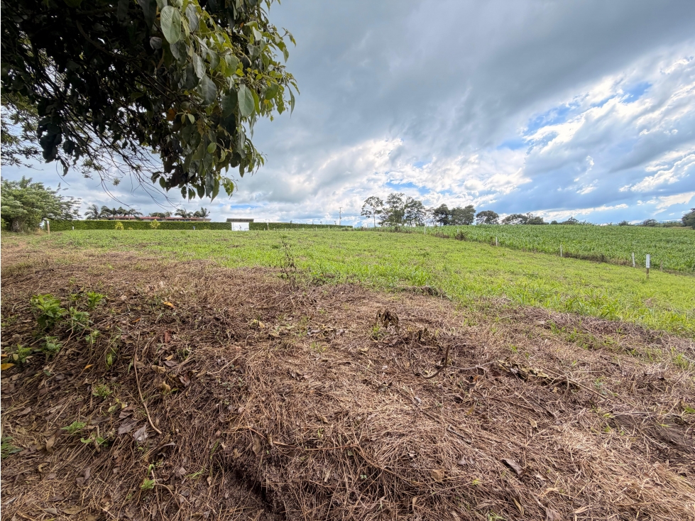 PRECIO DE OPORTUNIDAD LOTE CAMPESTRE 3 EN VENTA PUEBLO TAPAO Q — foto 3
