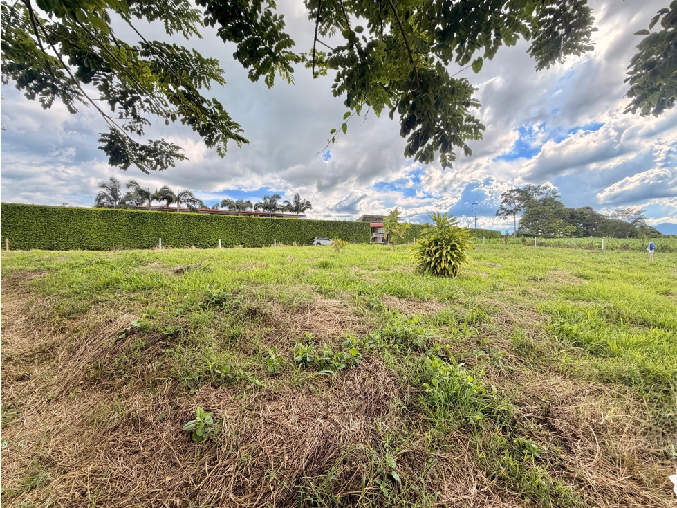 LOTE 1 EN VENTA PRECIO DE OPORTUNIDAD SECTOR PUEBLO TAPAO, QUINDÍO — foto 3