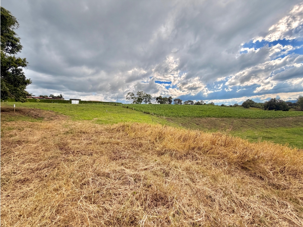 PRECIO DE OPORTUNIDAD LOTE CAMPESTRE 5 EN VENTA PUEBLO TAPAO Q — foto 4