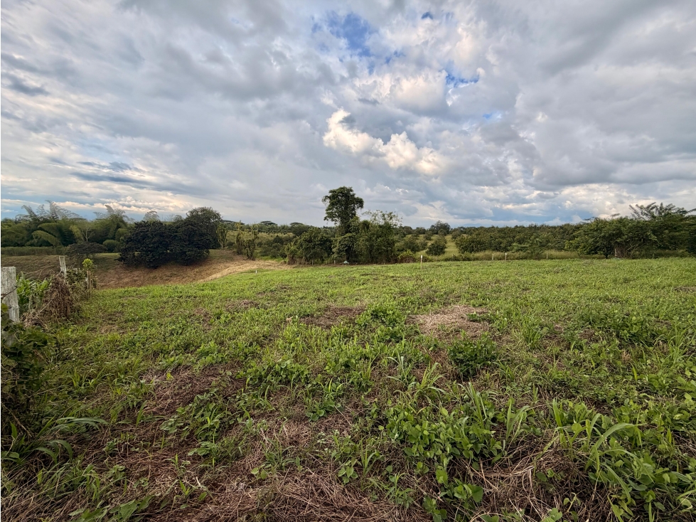 PRECIO DE OPORTUNIDAD LOTE CAMPESTRE 2 EN VENTA PUEBLO TAPAO Q. — foto 5