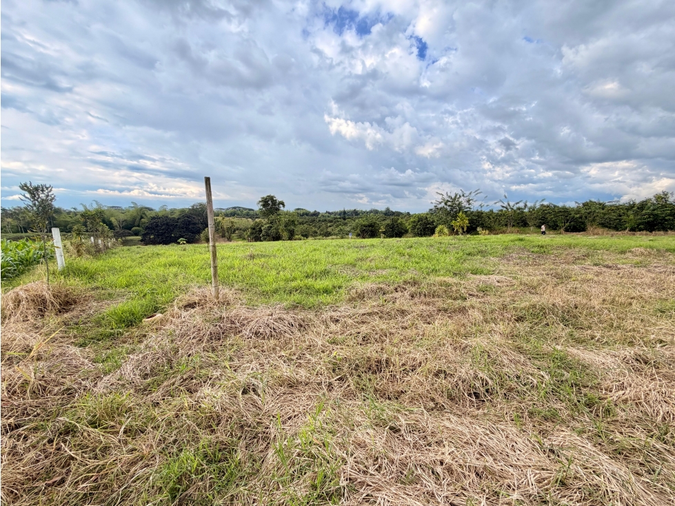 LOTE 1 EN VENTA PRECIO DE OPORTUNIDAD SECTOR PUEBLO TAPAO, QUINDÍO — foto 5
