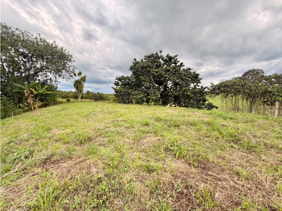 PRECIO DE OPORTUNIDAD LOTE CAMPESTRE 6 EN VENTA PUEBLO TAPAO Q — foto 6