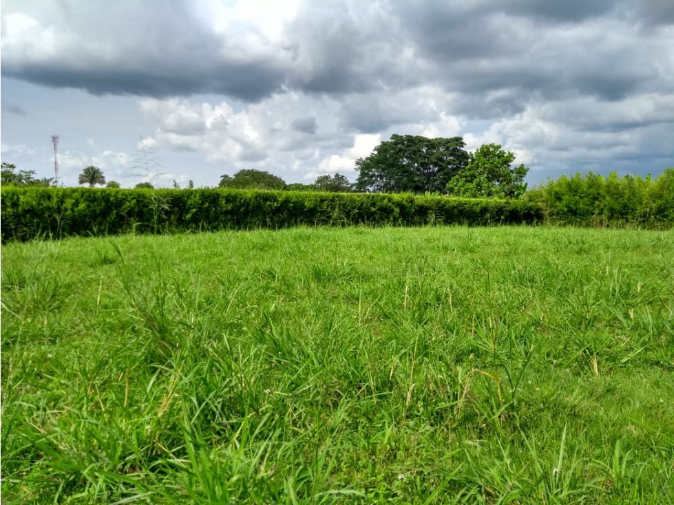 LOTE EN VENTA EN LA TEBAIDA QUINDÍO - 3