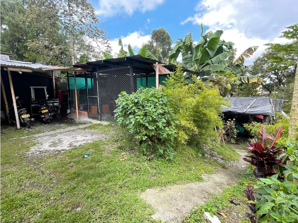LOTE EN VENTA EN EL BARRIO URIBE ARMENIA QUINDÍO — foto 3