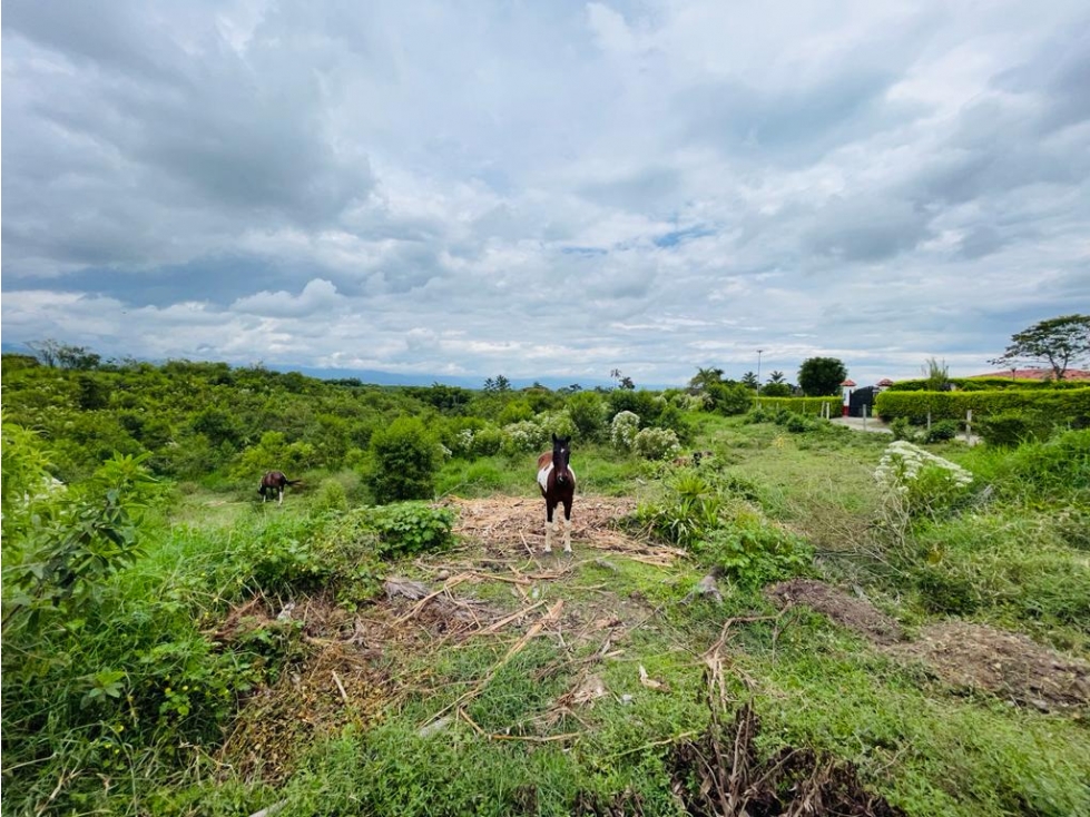 LOTE EN CONDOMINIO CON PERMISO DE USO TURÍSTICO - MONTENEGRO QUINDÍO - 3