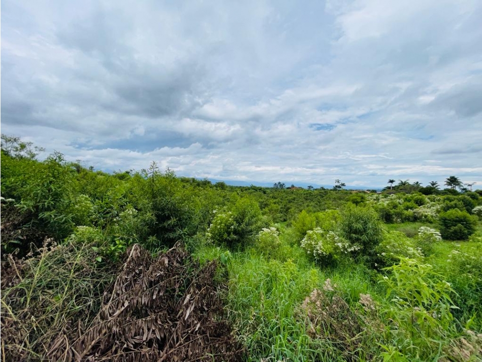 LOTE EN VENTA CONDOMINIO PERMISO DE USO TURÍSTICO - MONTENEGRO QUINDÍO - 2