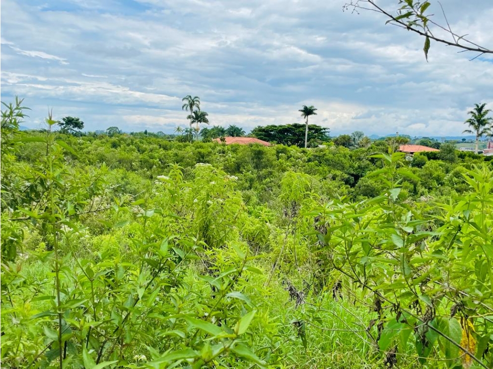 LOTE EN CONDOMINIO CON PERMISO DE USO TURÍSTICO - MONTENEGRO QUINDÍO — foto 3