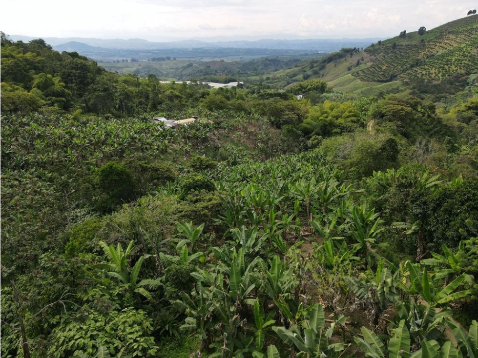 LOTE EN VENTA UBICADO EN BUENAVISTA QUINDÍO IDEAL PARA USO TURÍSTICO - 3