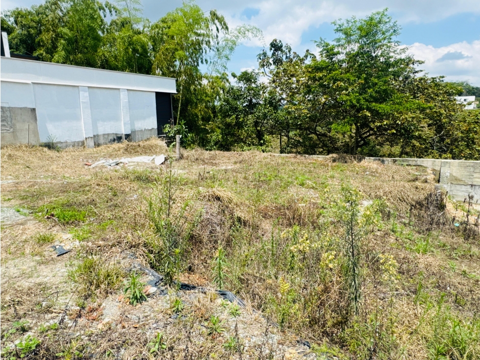 LOTE EN VENTA UBICADO AL NORTE DE LA CIUDAD DE ARMENIA QUINDÍO — foto 3