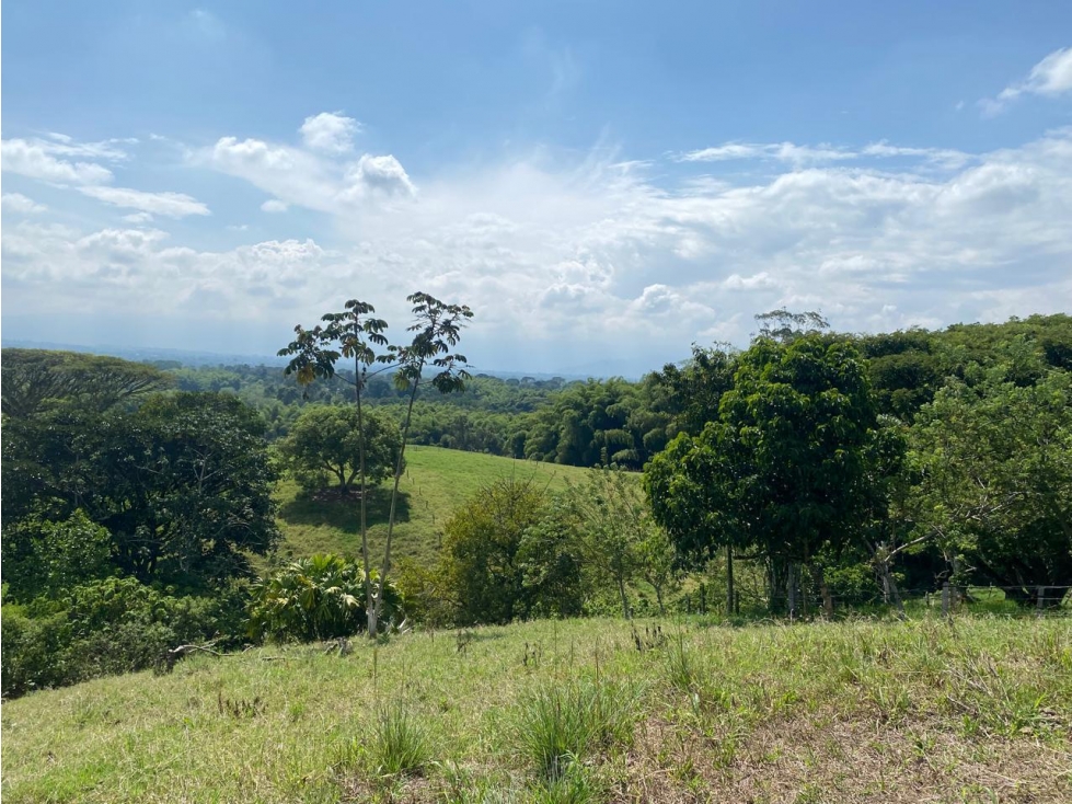PROYECTO DE LOTES EN VENTA UBICADO EN PUEBLO TAPAO - MONTENEGRO Q - 2