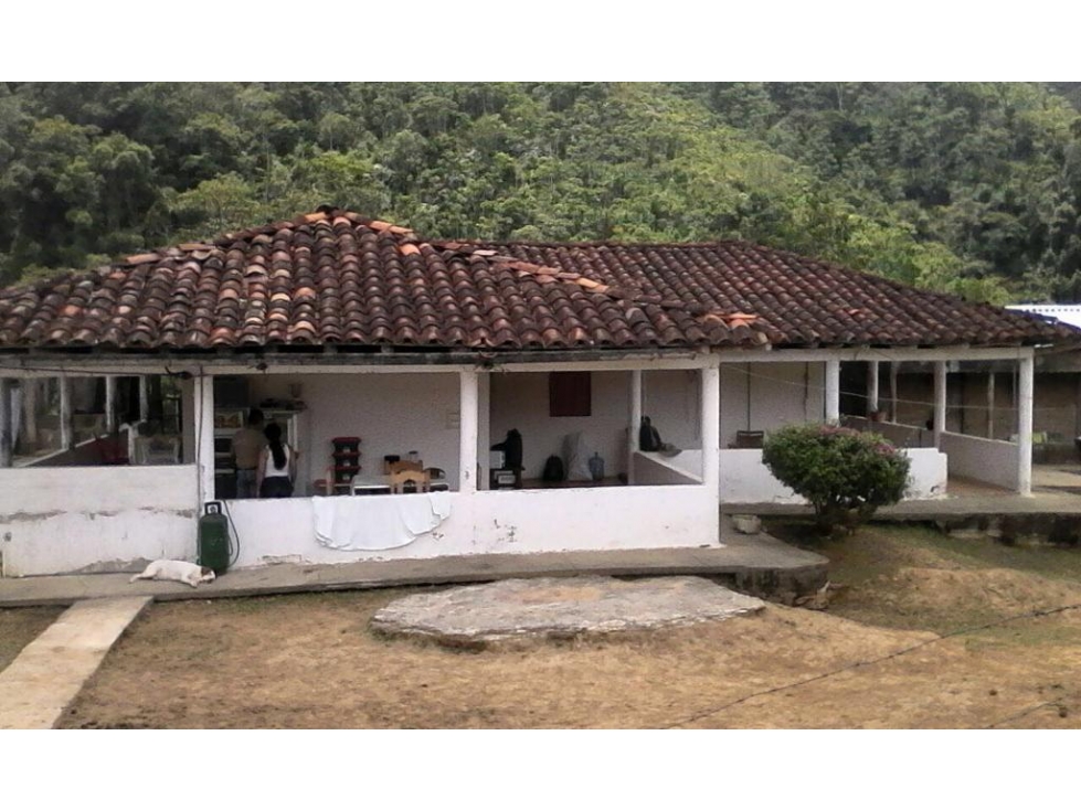 FINCA EN VENTA EN EL MUNICIPIO DE LA VICTORIA VEREDA MIRAVALLES - 1