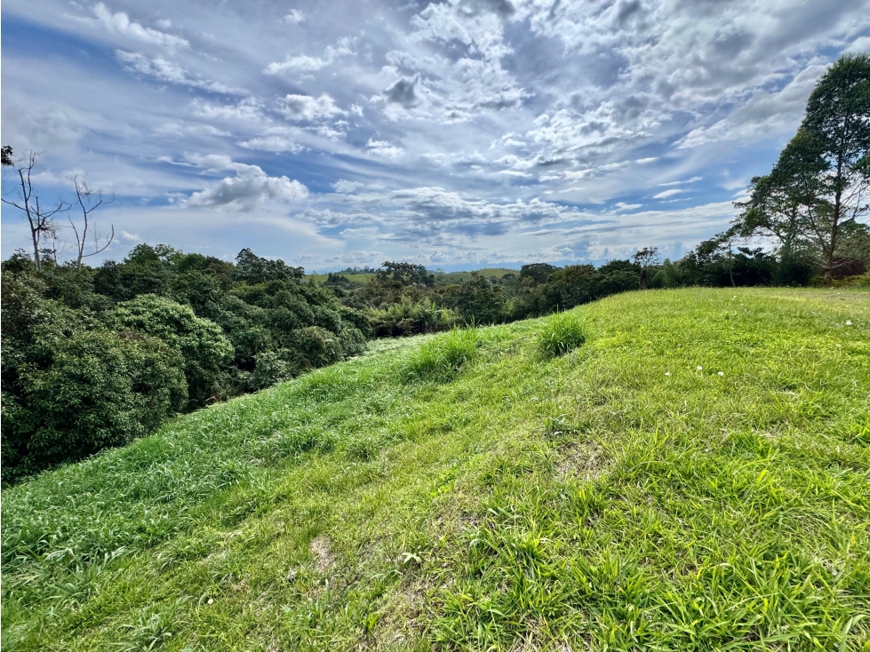 LOTE EN VENTA EN CONDOMINIO CAMPESTRE VÍA FILANDIA, QUINDÍO. - 1