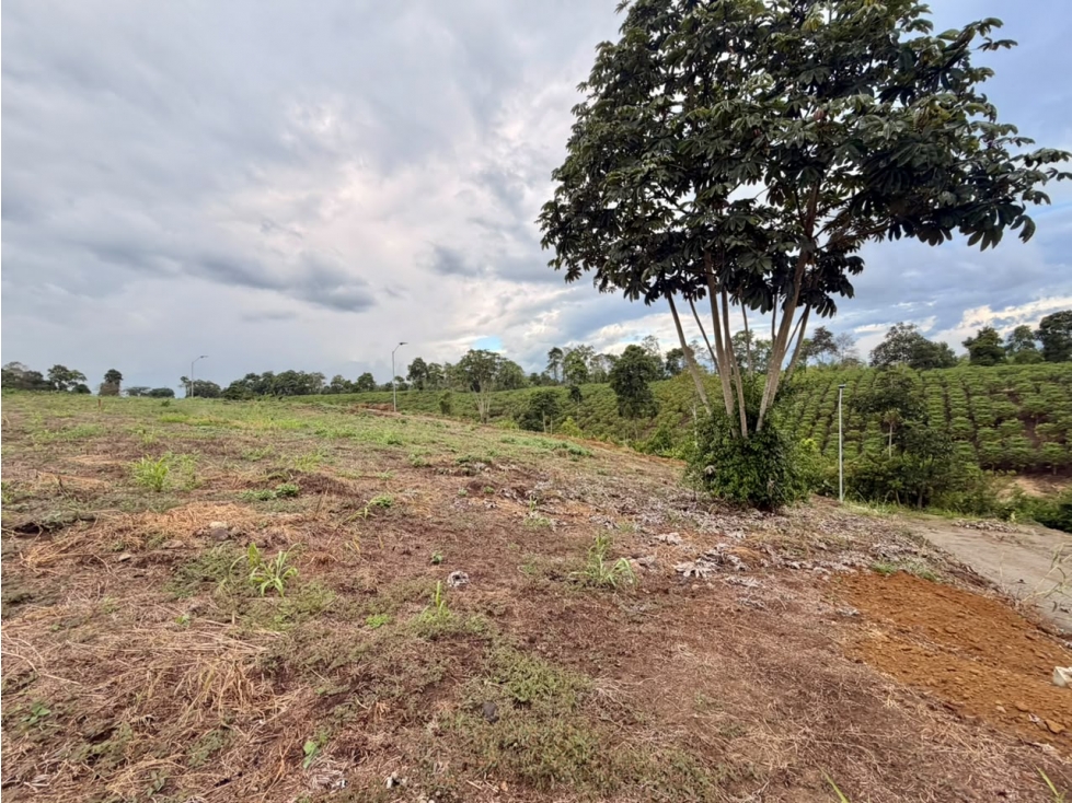 LOTE CAMPESTRE EN VENTA CONDOMINIO CERRADO PUEBLO TAPAO, QUINDÍO — foto 3