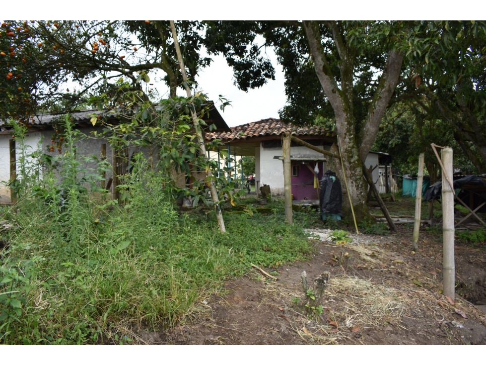 LOTE URBANO EN VENTA UBICADO EN QUIMBAYA SALIENDO A MONTENEGRO - 3