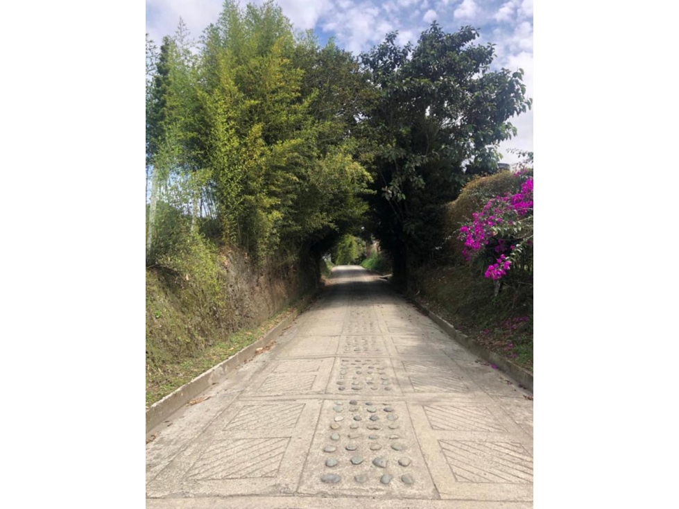 LOTE DE ALTO POTENCIAL EN VENTA VÍA ARMENIA PEREIRA — foto 6