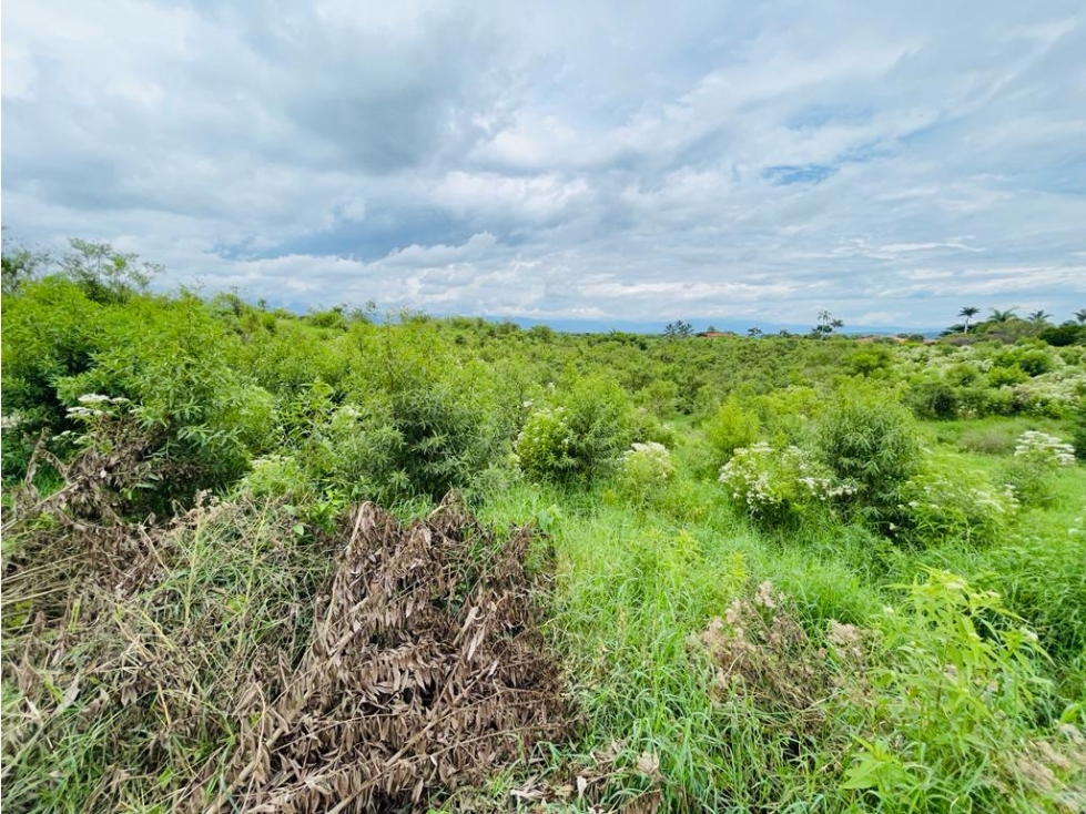 LOTE EN VENTA CONDOMINIO PERMISO DE USO TURÍSTICO - MONTENEGRO QUINDÍO - 3