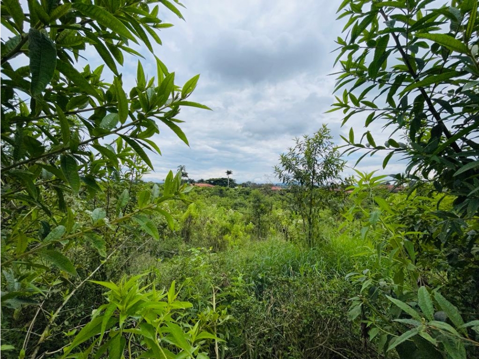 LOTE EN CONDOMINIO CON PERMISO DE USO TURÍSTICO - MONTENEGRO QUINDÍO — foto 4
