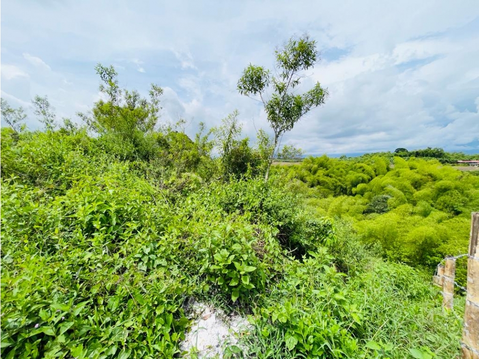 LOTE EN CONDOMINIO CON PERMISO DE USO TURÍSTICO - MONTENEGRO QUINDÍO - 4
