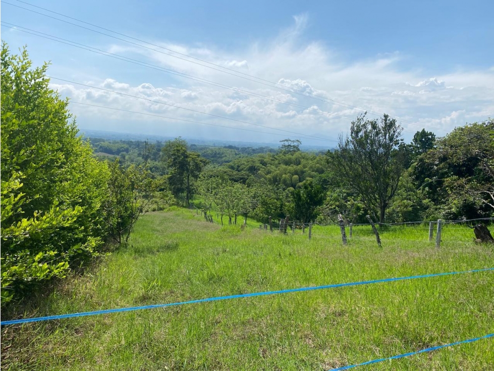PROYECTO DE LOTES EN VENTA UBICADO EN PUEBLO TAPAO - MONTENEGRO Q - 4