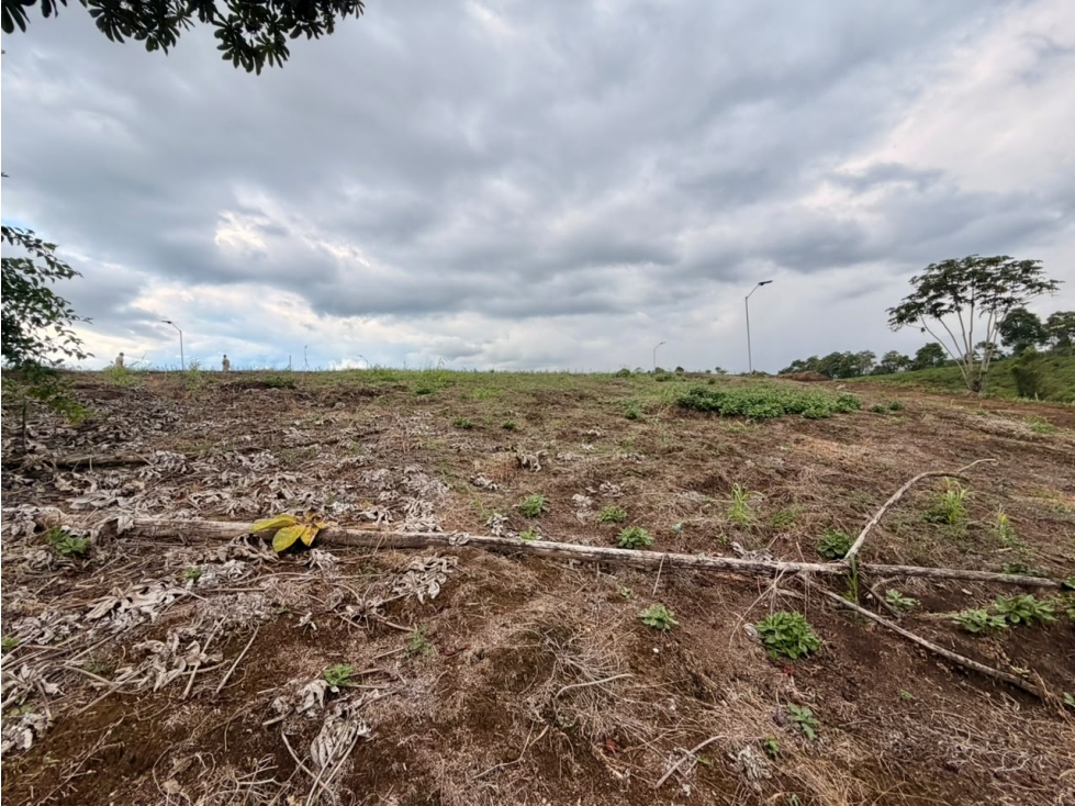 LOTE CAMPESTRE EN VENTA CONDOMINIO CERRADO PUEBLO TAPAO, QUINDÍO — foto 4