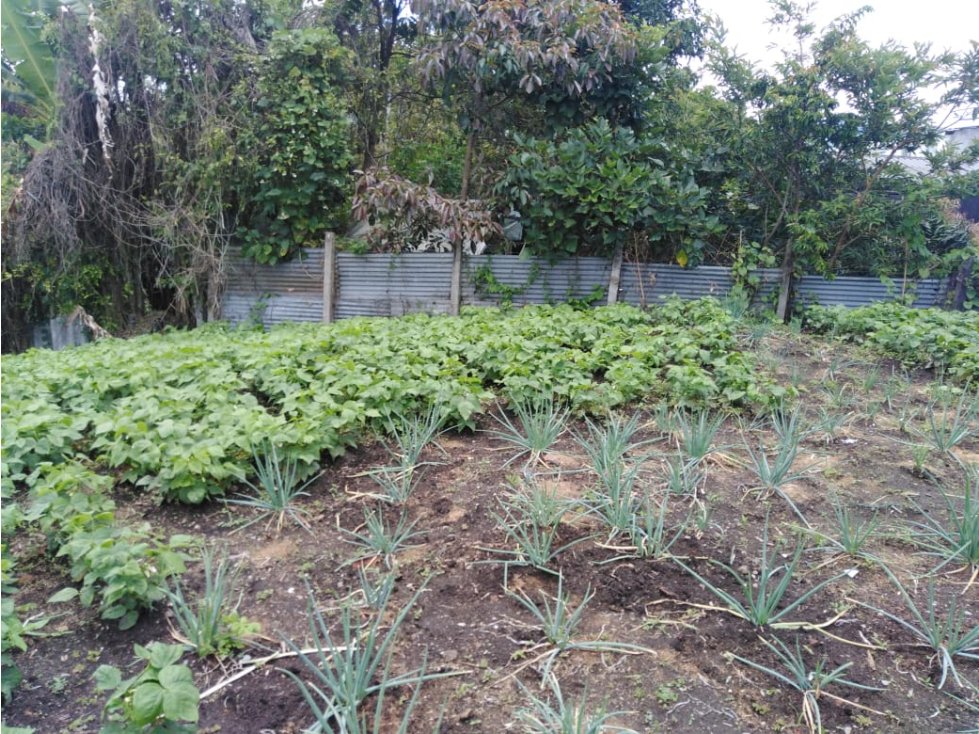 LOTE URBANO EN EL NORTE DE ARMENIA OPCIÓN VENTA O PERMUTA — foto 6