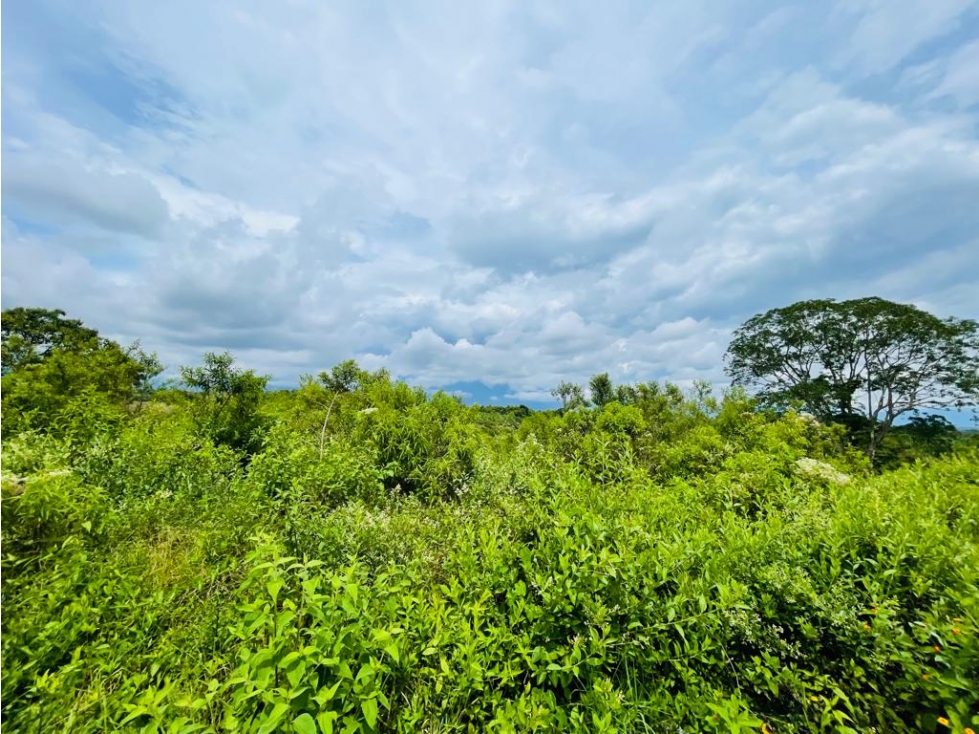 LOTE EN CONDOMINIO CON PERMISO DE USO TURÍSTICO - MONTENEGRO QUINDÍO - 5