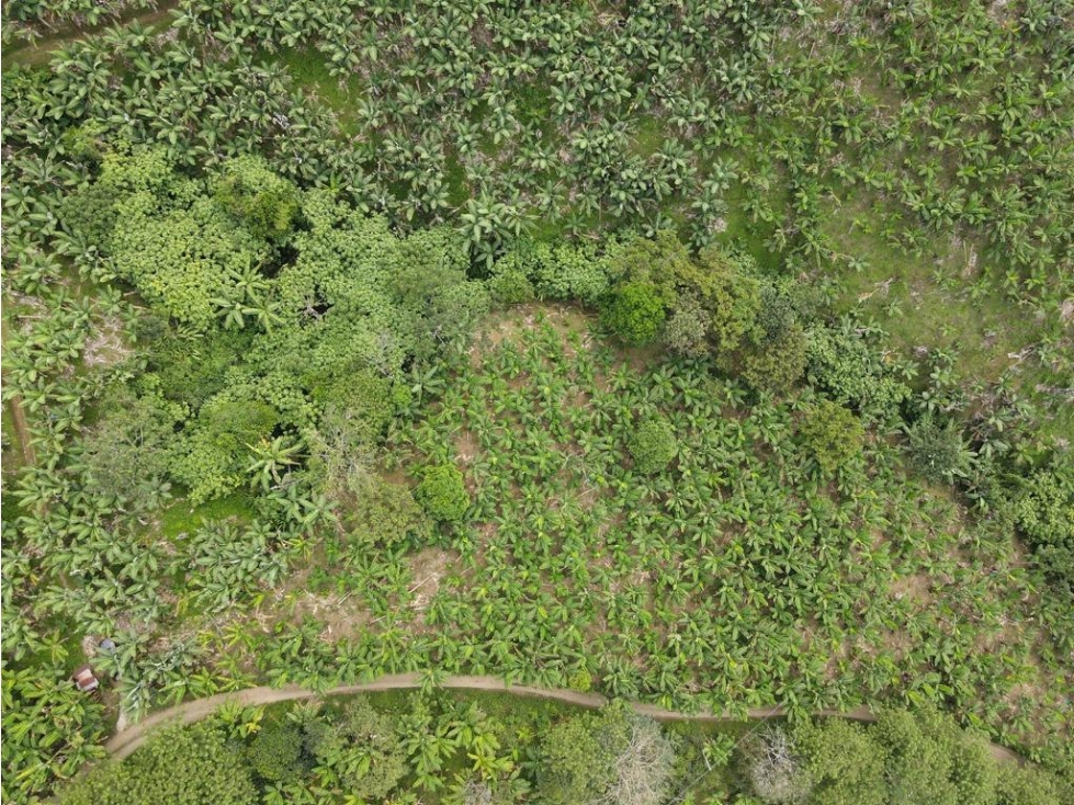 LOTE EN VENTA UBICADO EN BUENAVISTA QUINDÍO IDEAL PARA USO TURÍSTICO - 5