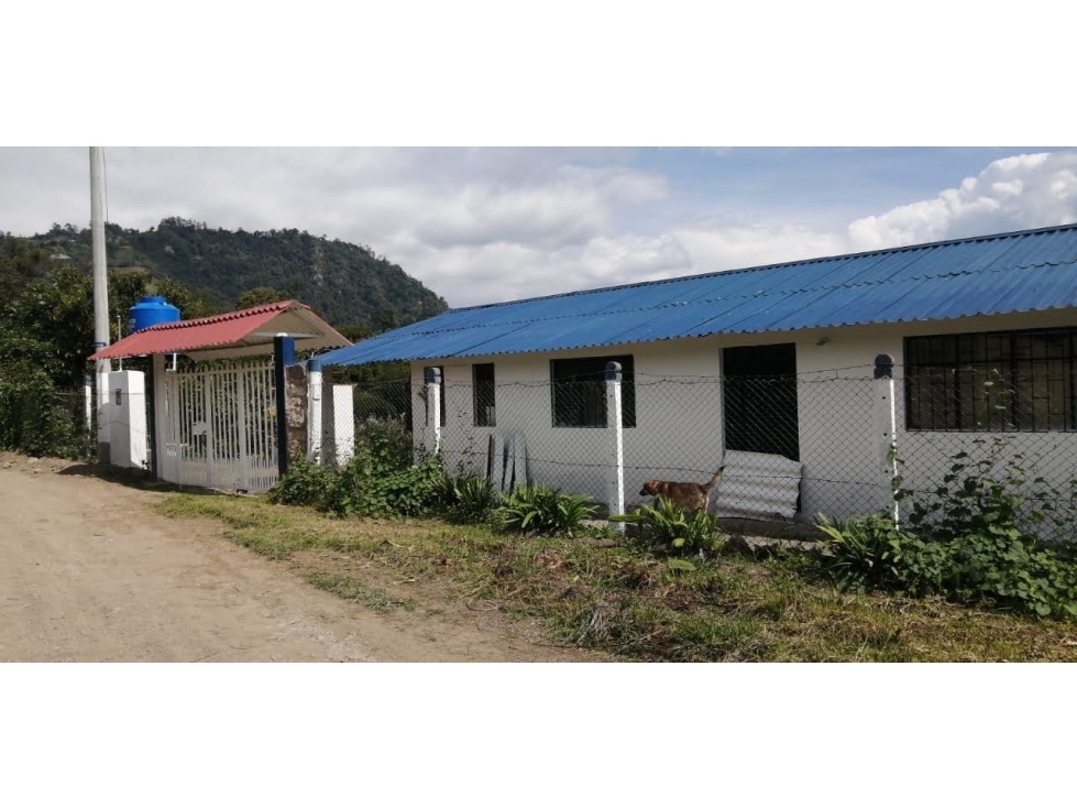 FINCA PRODUCTIVA EN VENTA CACHIPAY CUNDINAMARCA COL. - 3