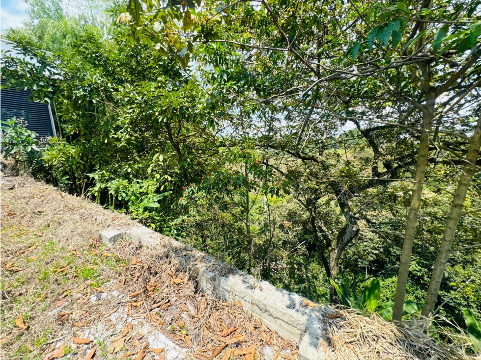 LOTE EN VENTA UBICADO AL NORTE DE LA CIUDAD DE ARMENIA QUINDÍO — foto 5