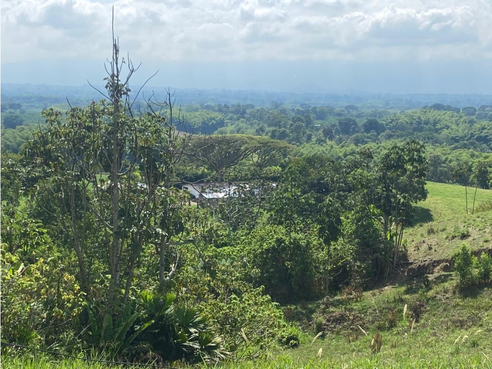 PROYECTO DE LOTES EN VENTA UBICADO EN PUEBLO TAPAO - MONTENEGRO Q - 6