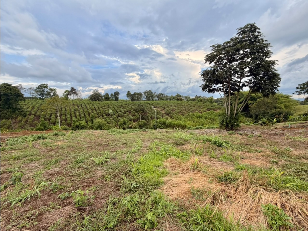 LOTE CAMPESTRE EN VENTA CONDOMINIO CERRADO PUEBLO TAPAO, QUINDÍO — foto 5