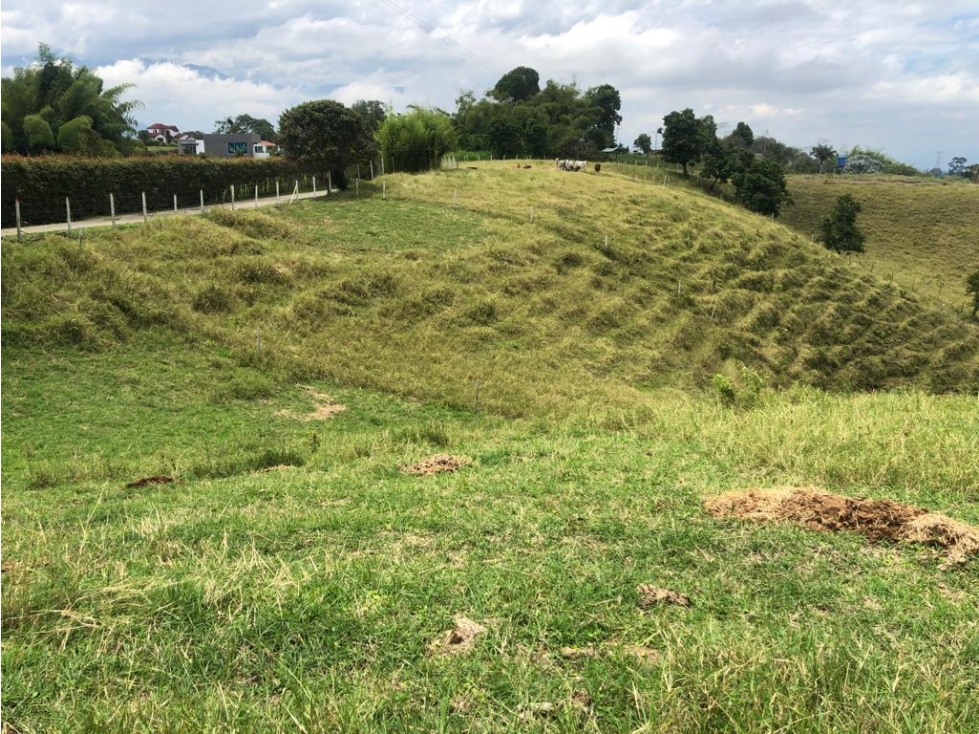 LOTE DE ALTO POTENCIAL EN VENTA VÍA ARMENIA PEREIRA — foto 4