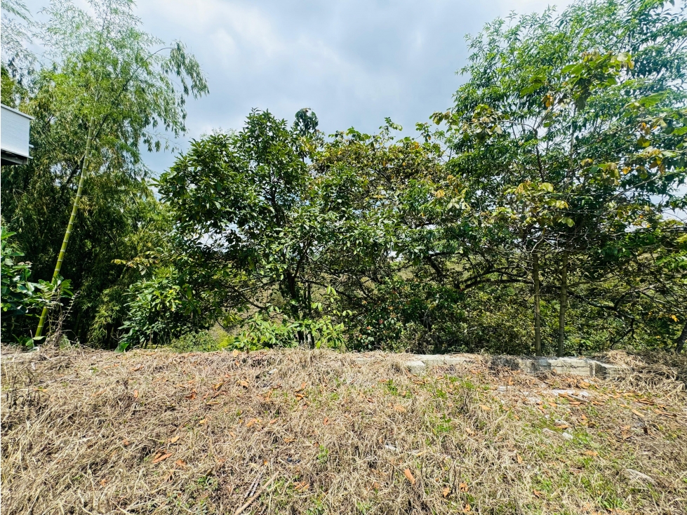 LOTE EN VENTA UBICADO AL NORTE DE LA CIUDAD DE ARMENIA QUINDÍO — foto 6