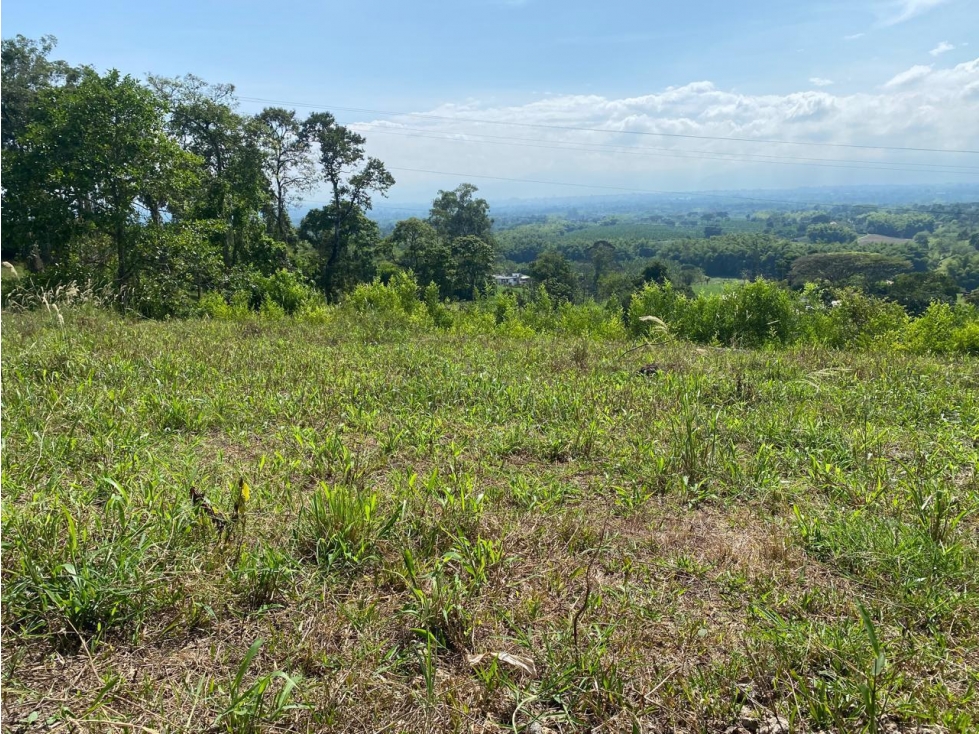 PROYECTO DE LOTES EN VENTA UBICADO EN PUEBLO TAPAO - MONTENEGRO Q - 5