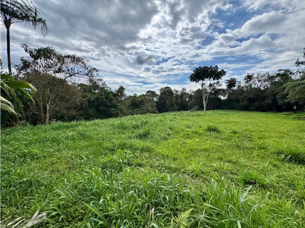 LOTE EN VENTA EN CONDOMINIO CAMPESTRE VÍA FILANDIA, QUINDÍO. - 6