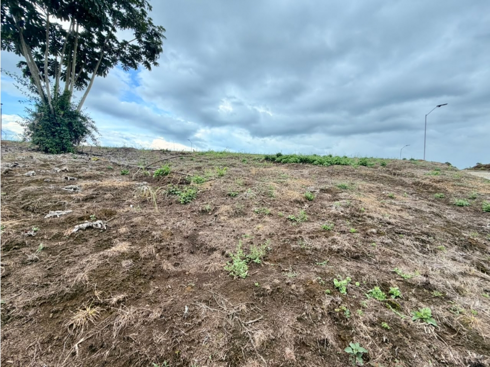 LOTE CAMPESTRE EN VENTA CONDOMINIO CERRADO PUEBLO TAPAO, QUINDÍO — foto 6