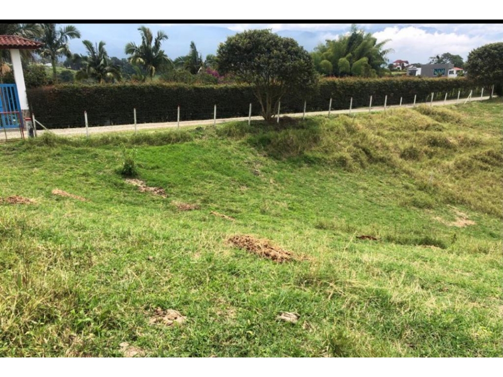 LOTE DE ALTO POTENCIAL EN VENTA VÍA ARMENIA PEREIRA — foto 3