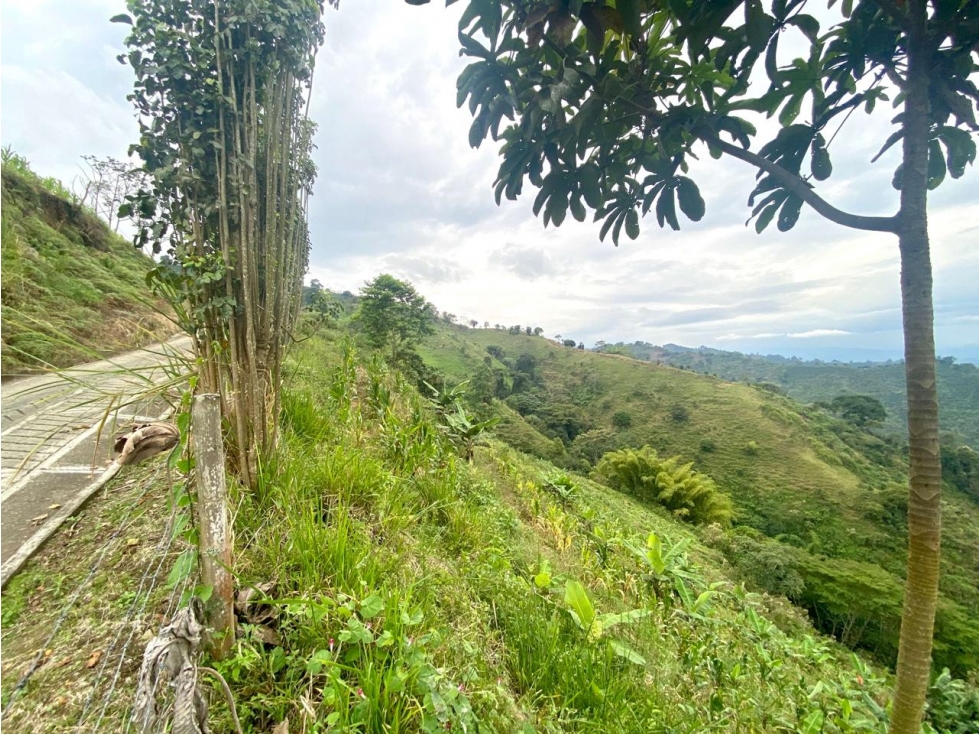 FINCA LOTE EN VENTA O PERMUTA EN CÓRDOBA, QUINDÍO IDEAL PARA GLAMPING — foto 5
