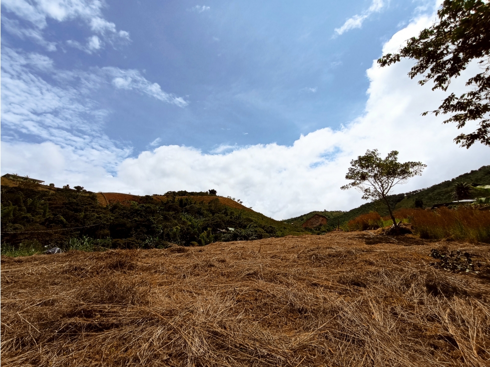 OPORTUNIDAD DE INVERSIÓN LOTE CAMPESTRE EN DAGUA SAN JOSE DEL SALADO — foto 6