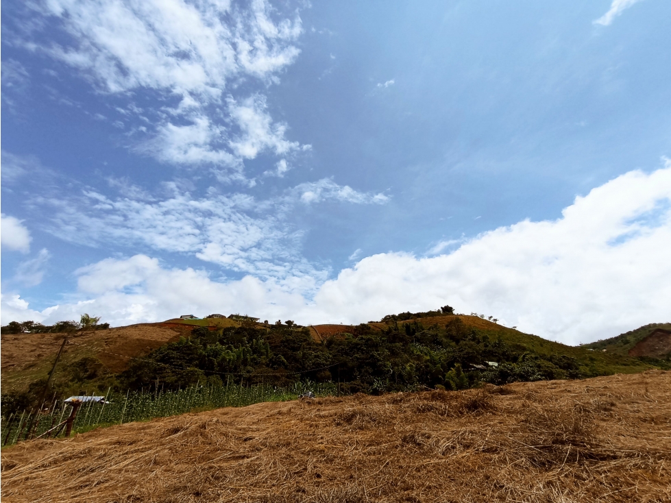 OPORTUNIDAD DE INVERSIÓN LOTE CAMPESTRE EN DAGUA SAN JOSE DEL SALADO — foto 3