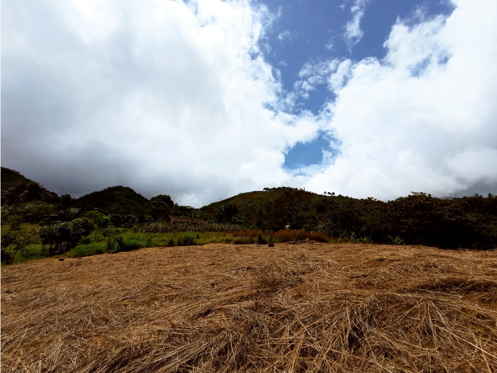 OPORTUNIDAD DE INVERSIÓN LOTE CAMPESTRE EN DAGUA SAN JOSE DEL SALADO — foto 2