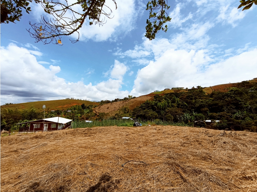 OPORTUNIDAD DE INVERSIÓN LOTE CAMPESTRE EN DAGUA SAN JOSE DEL SALADO