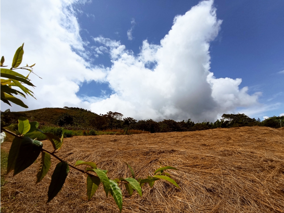 OPORTUNIDAD DE INVERSIÓN LOTE CAMPESTRE EN DAGUA SAN JOSE DEL SALADO — foto 4