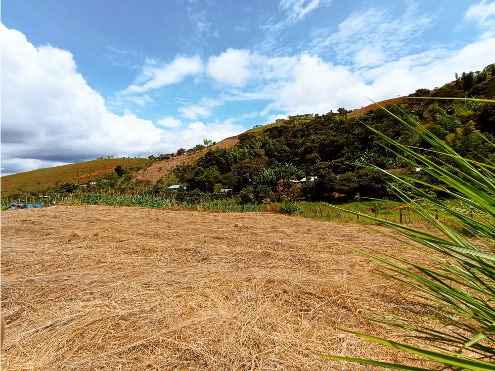 OPORTUNIDAD DE INVERSIÓN LOTE CAMPESTRE EN DAGUA SAN JOSE DEL SALADO — foto 5