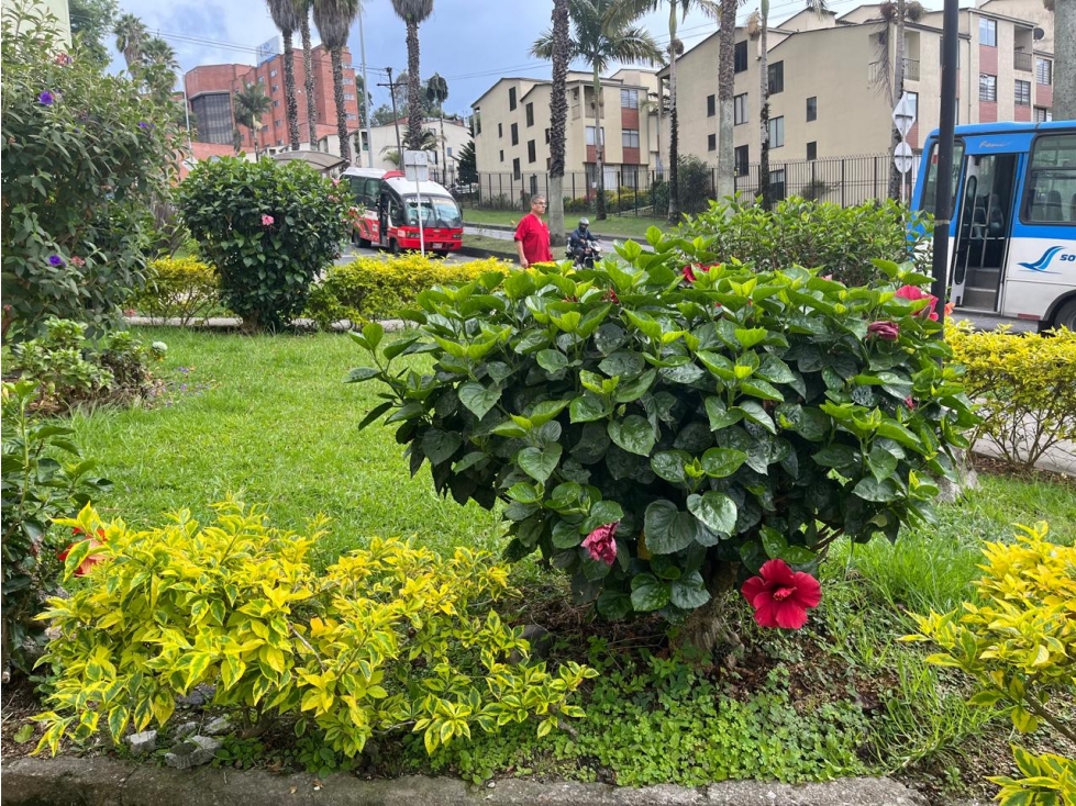 Apartamento Villa Pilar, Manizales — foto 2
