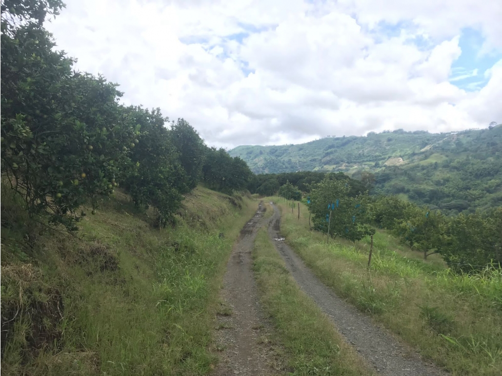 Espectacular Finca en Venta Lisboa — foto 4